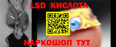 прущие грибы Партизанск