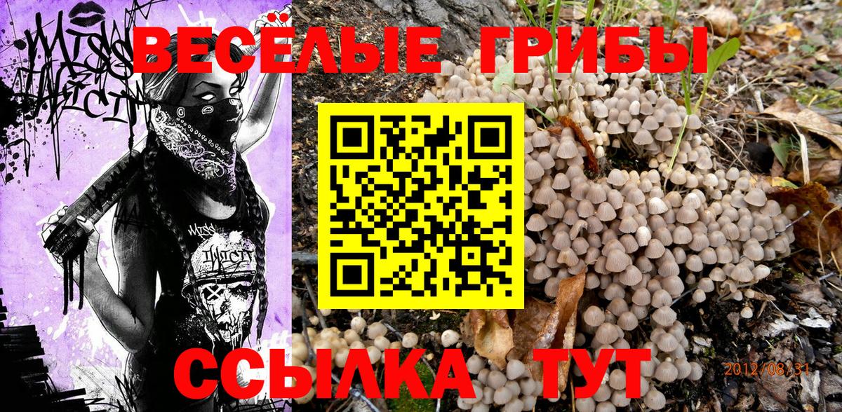 где продают наркотики  Вход с VPN  Псилоцибиновые грибы Psilocybine cubensis  Рославль  Псилоцибиновые грибы мухоморы 