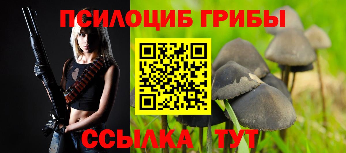 Галлюциногенные грибы MAGIC MUSHROOMS Рославль